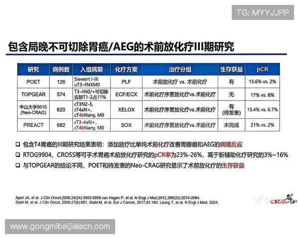 ds视讯官方官站最新版本下载指南及更新内容详细介绍