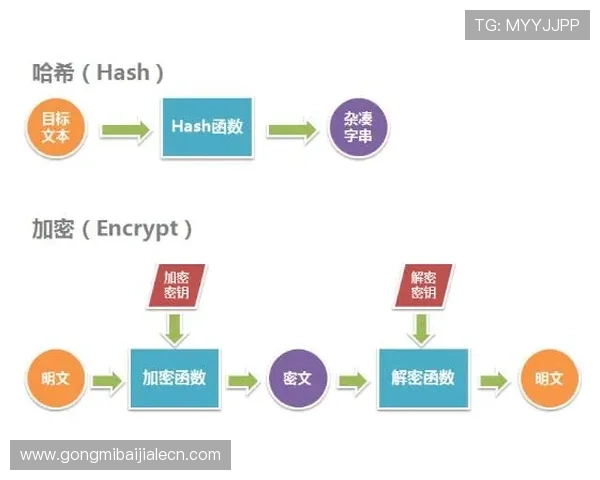 ag视讯有那些功能详尽解析，助力玩家充分利用平台提供的丰富游戏功能