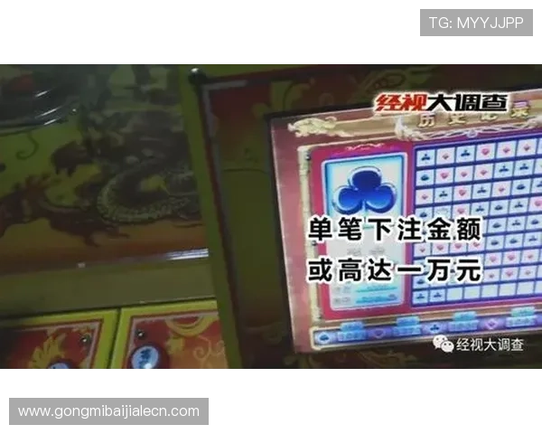 百家乐怎么玩才能赢钱的秘诀揭秘,掌握这些技巧让你在游戏中占据优势