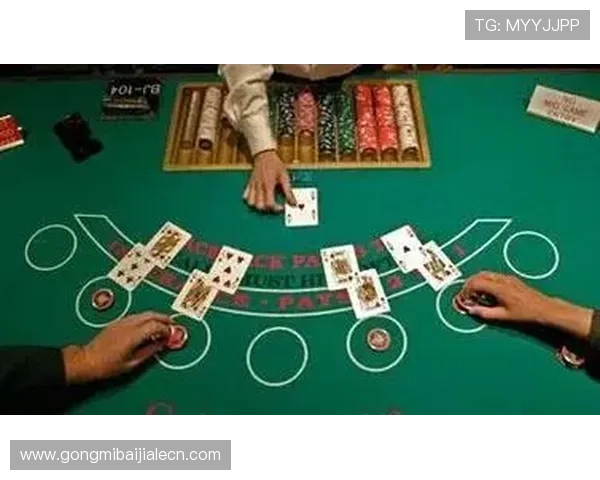 百家乐游戏:娱乐休闲与策略玩法全面解析